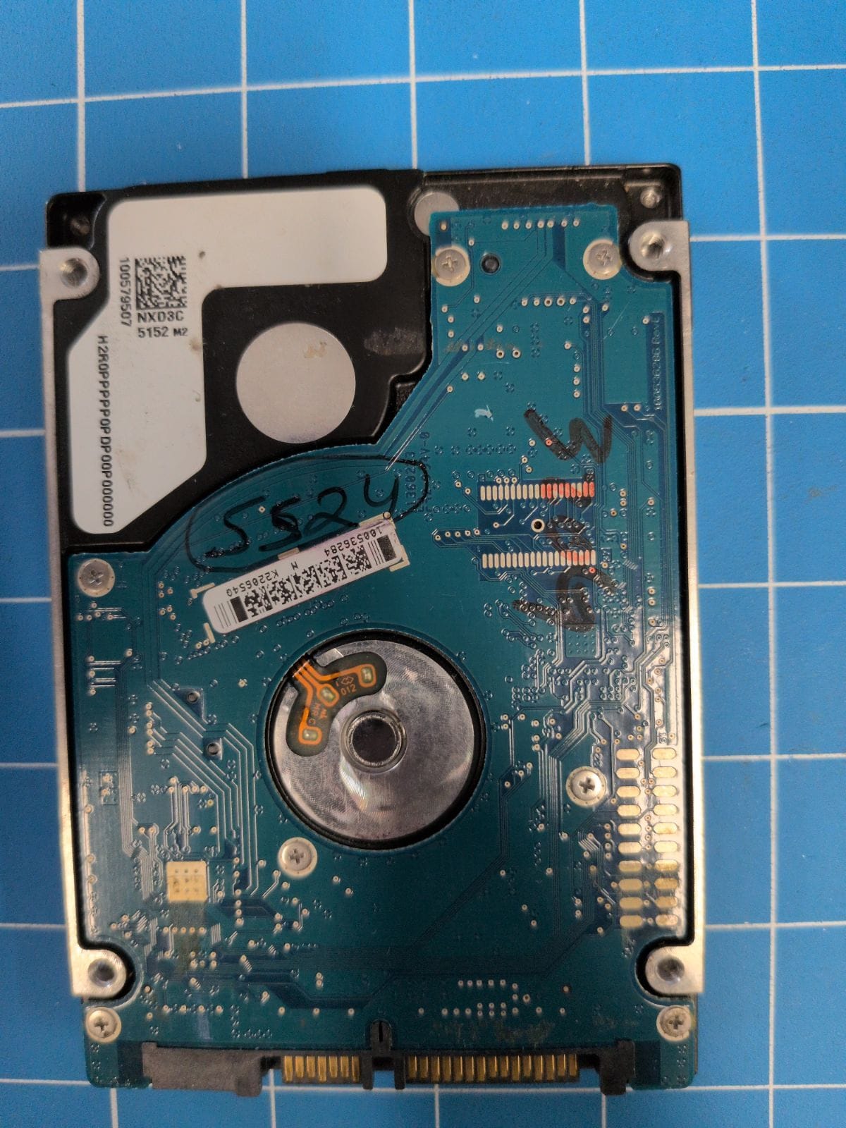SG295 drive label (back)