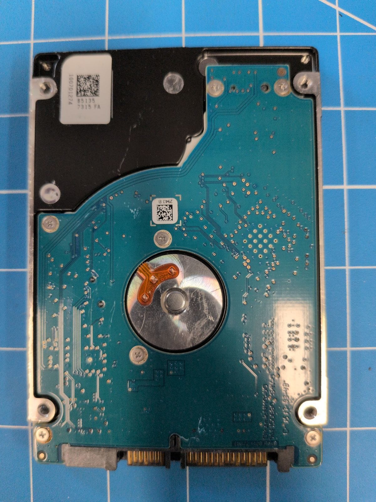 SG303 drive label (back)