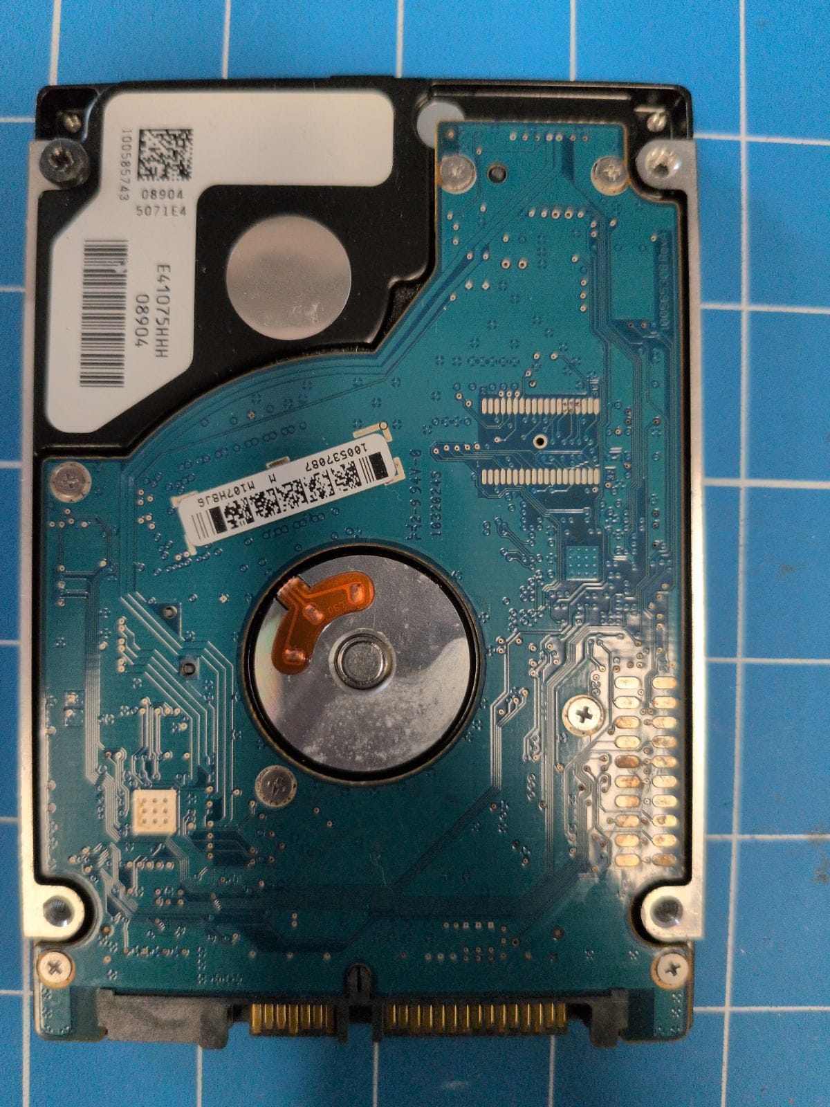 SG361 drive label (back)