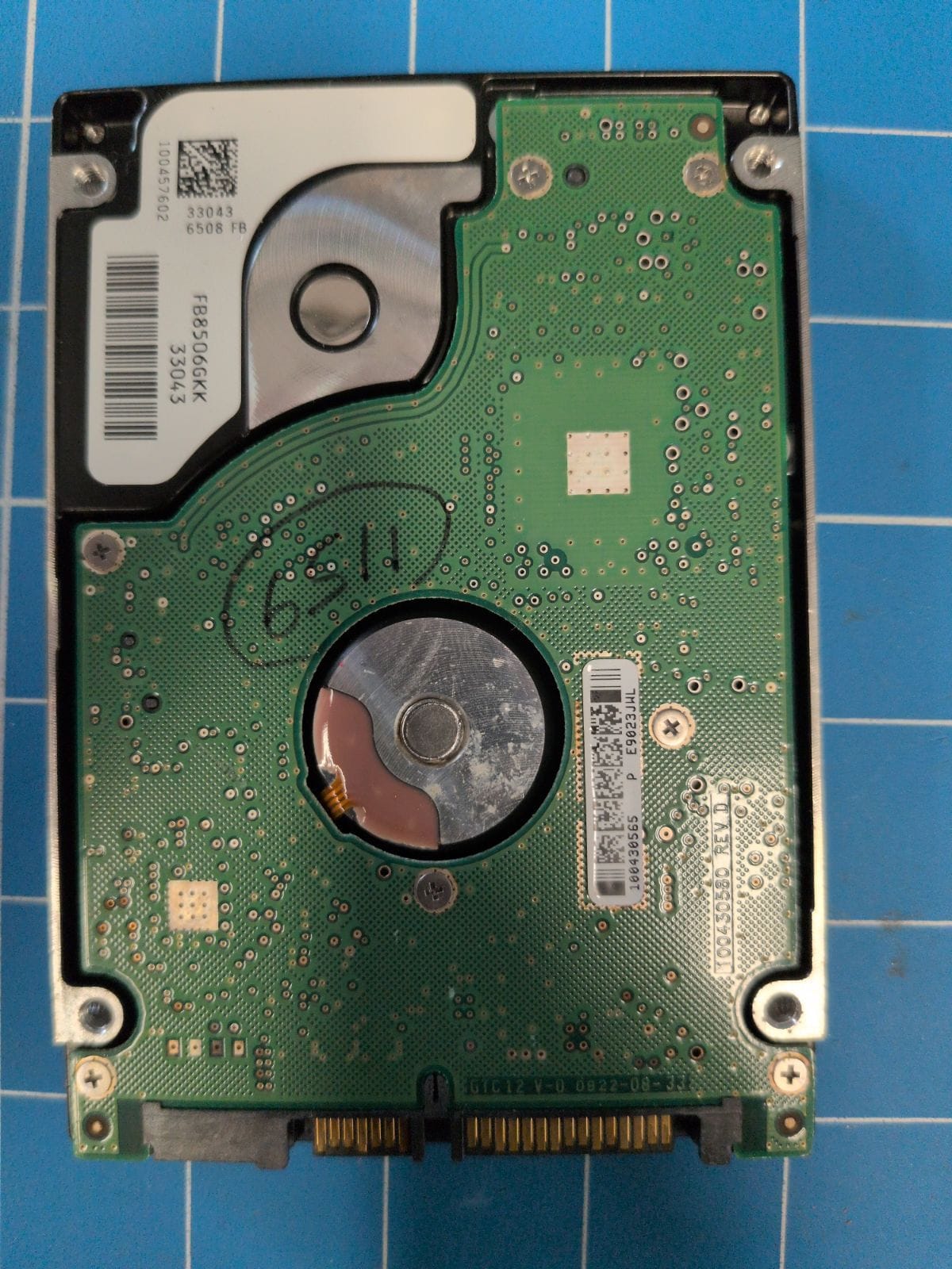 SG366 drive label (back)