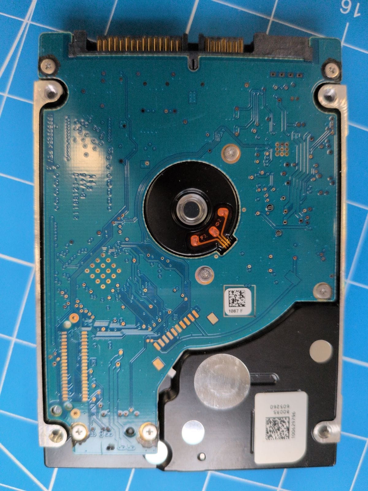 SG38 drive label (back)