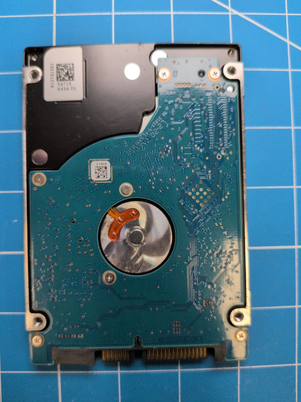 SG384 drive label (back)