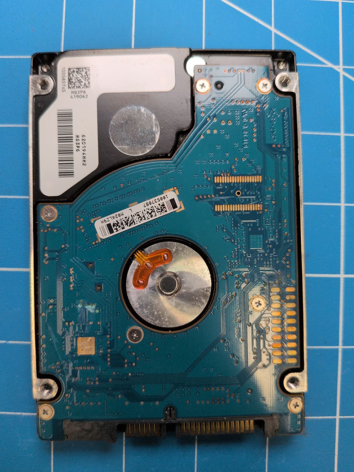 SG387 drive label (back)