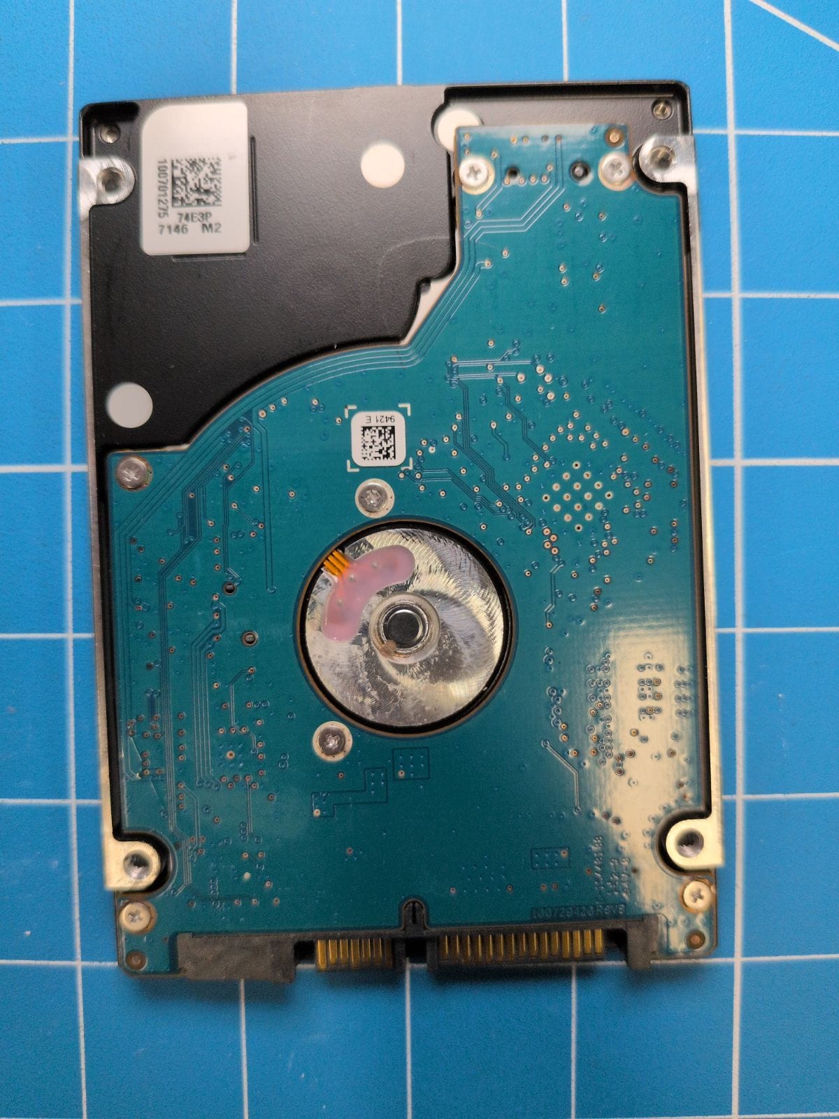 SG391 drive label (back)
