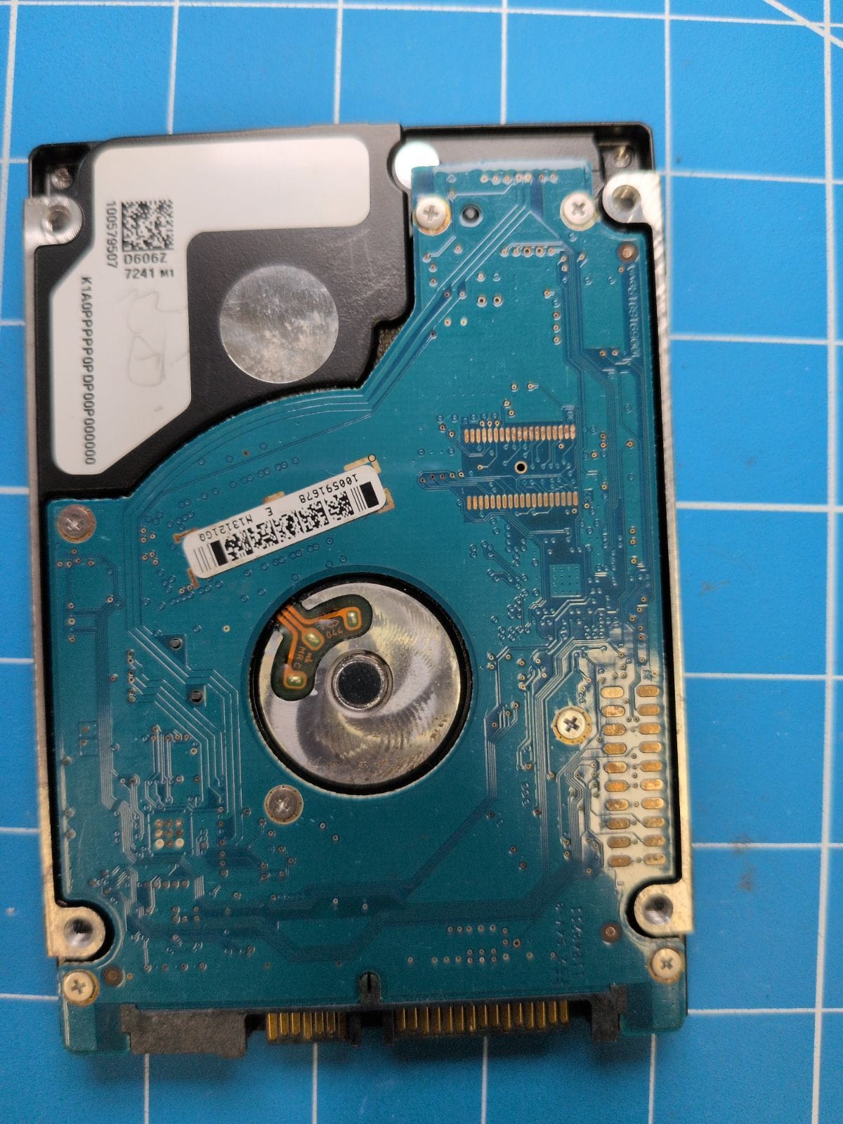 SG396 drive label (back)