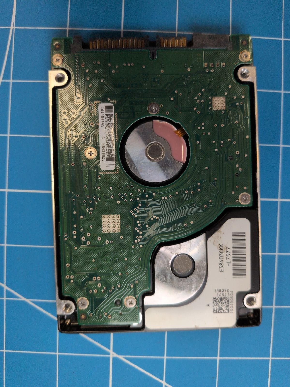 SG43 drive label (back)