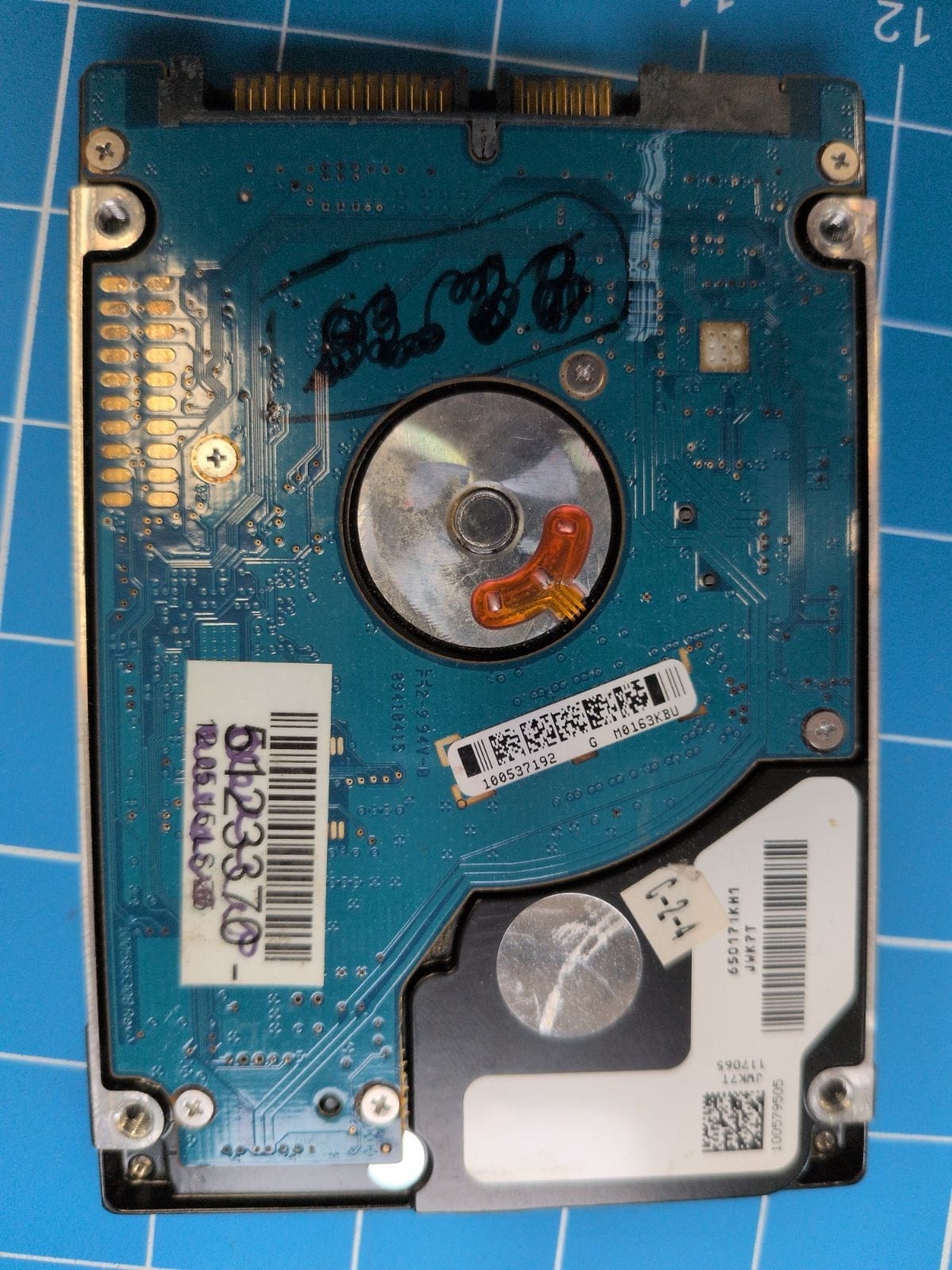 SG44 drive label (back)