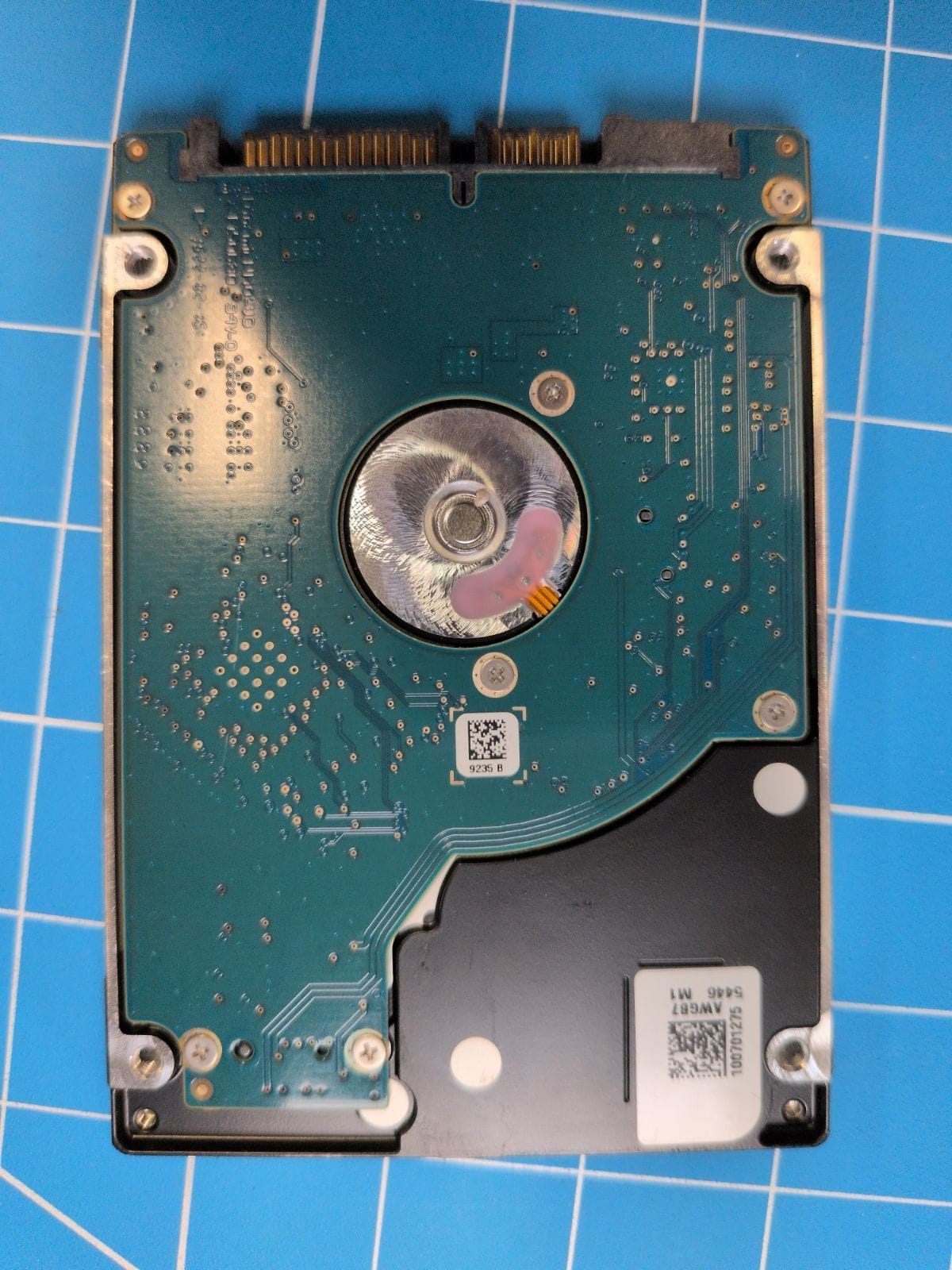 SG45 drive label (back)