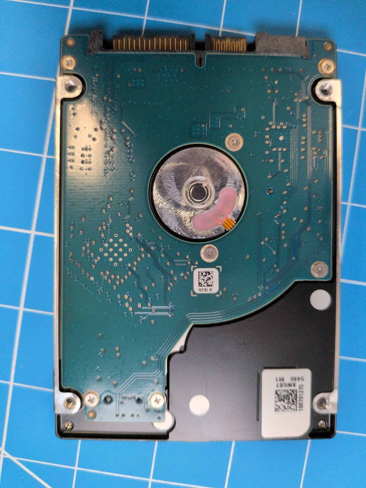 SG45 drive label (front)