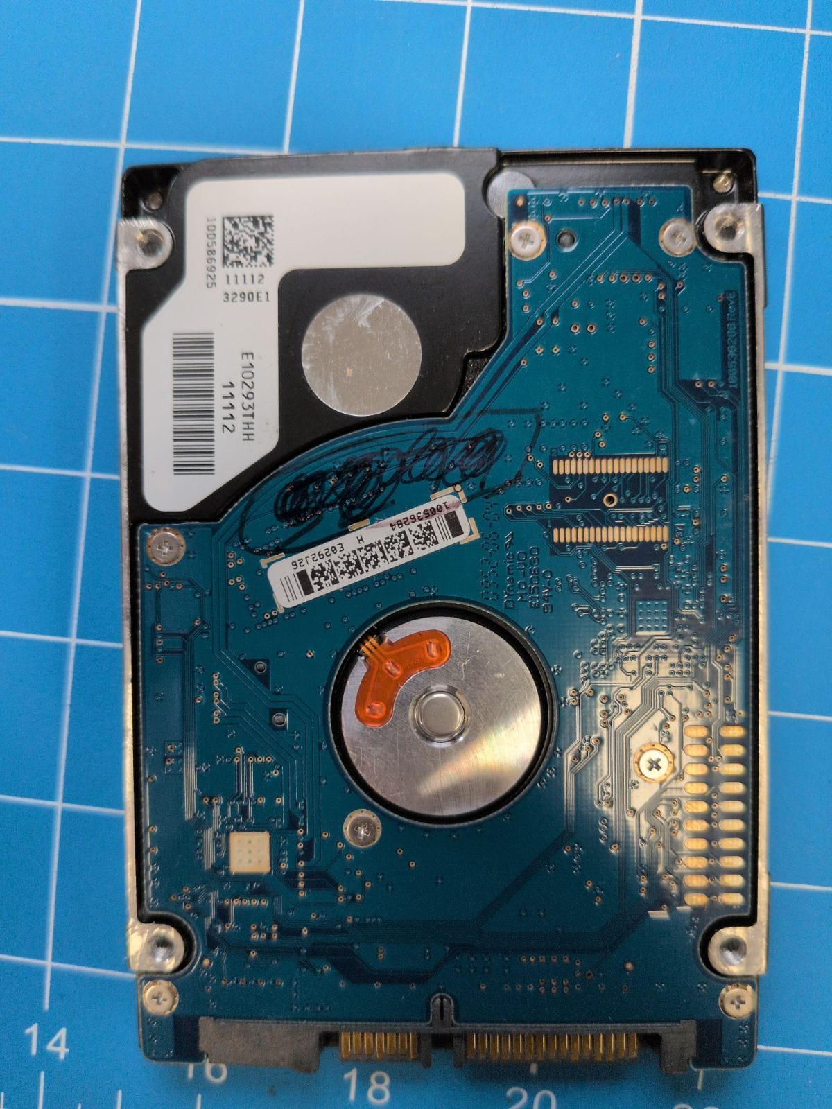 SG48 drive label (back)