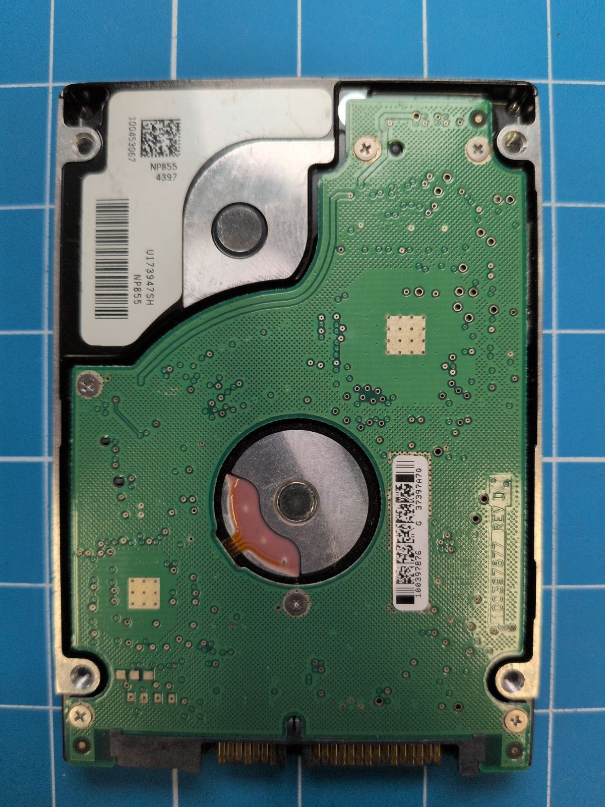 SG496 drive label (back)