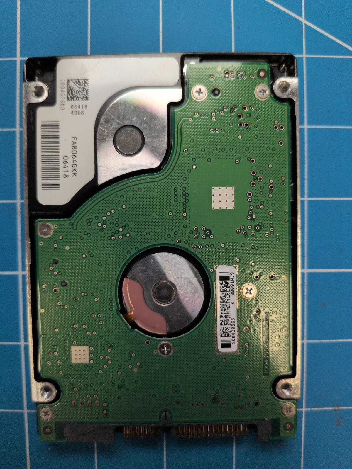 SG497 drive label (back)
