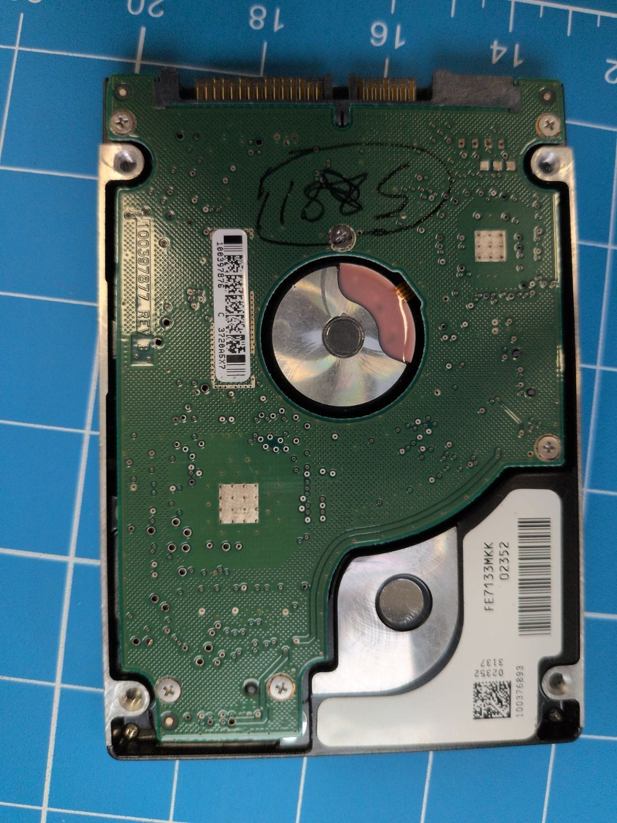 SG50 drive label (back)