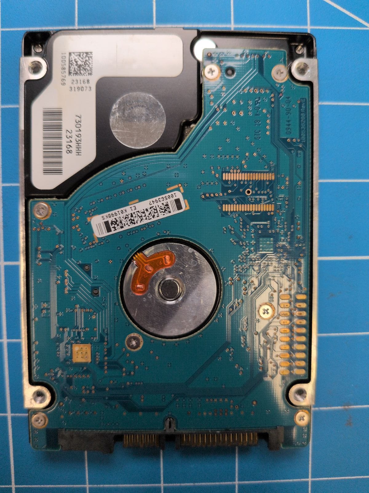 SG503 drive label (back)