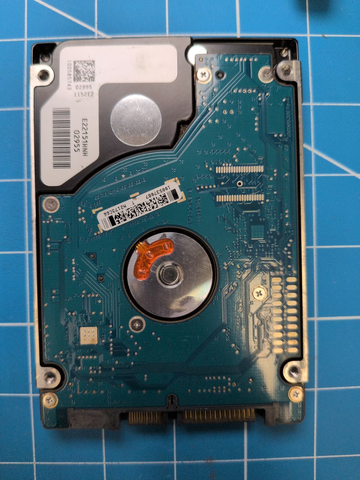 SG508 drive label (back)