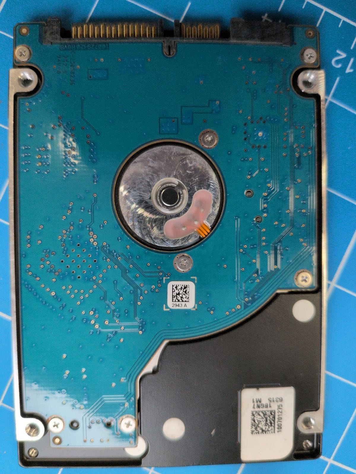 SG52 drive label (back)
