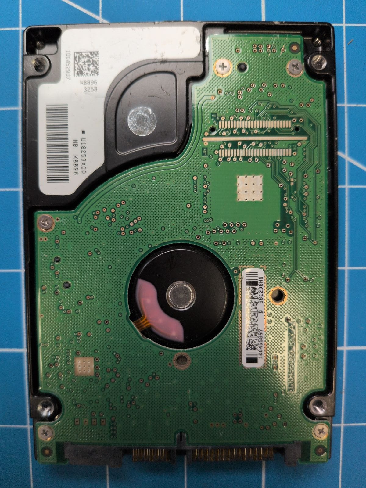 SG522 drive label (back)
