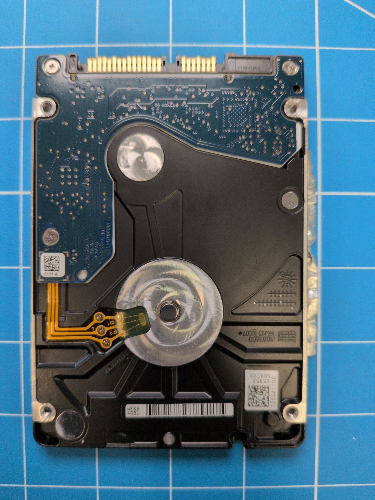 SG524 drive label (back)
