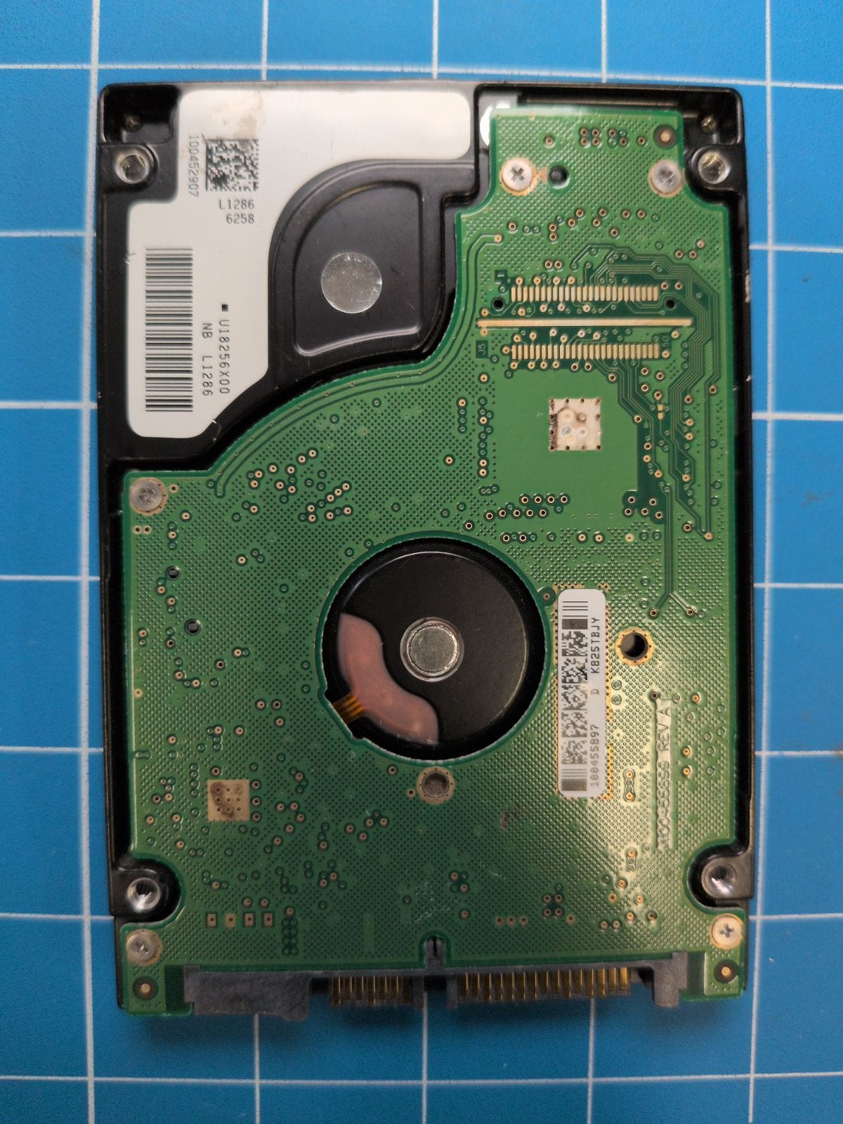 SG533 drive label (back)
