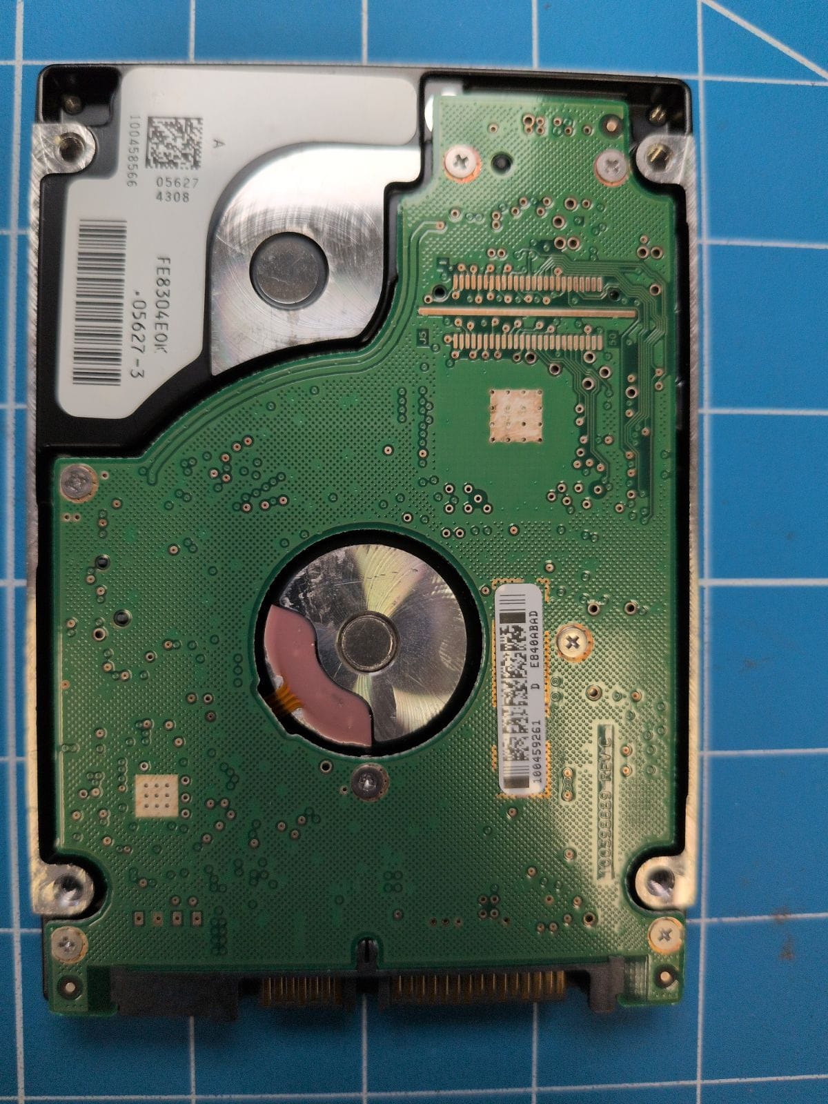 SG538 drive label (back)