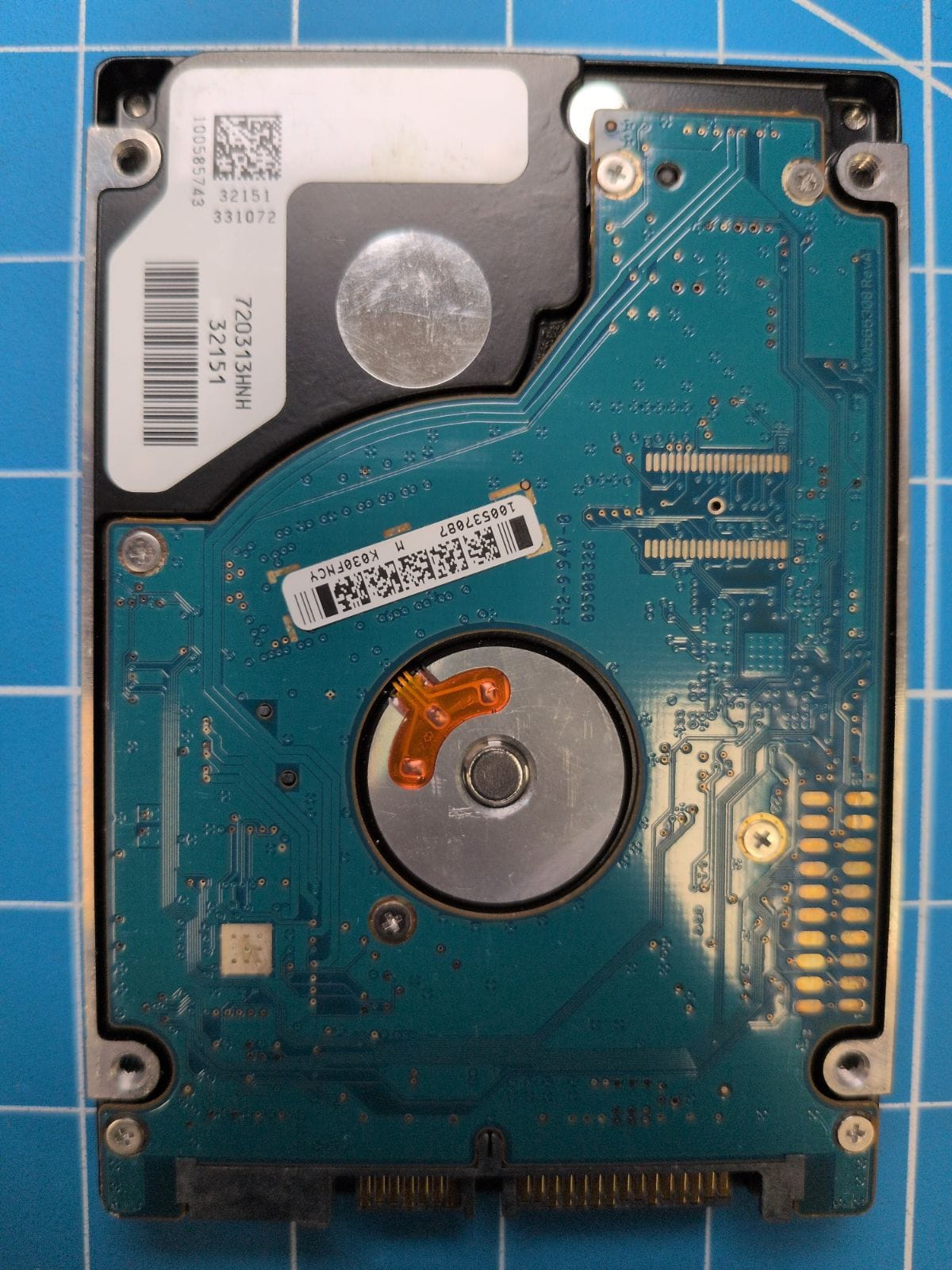SG544 drive label (back)