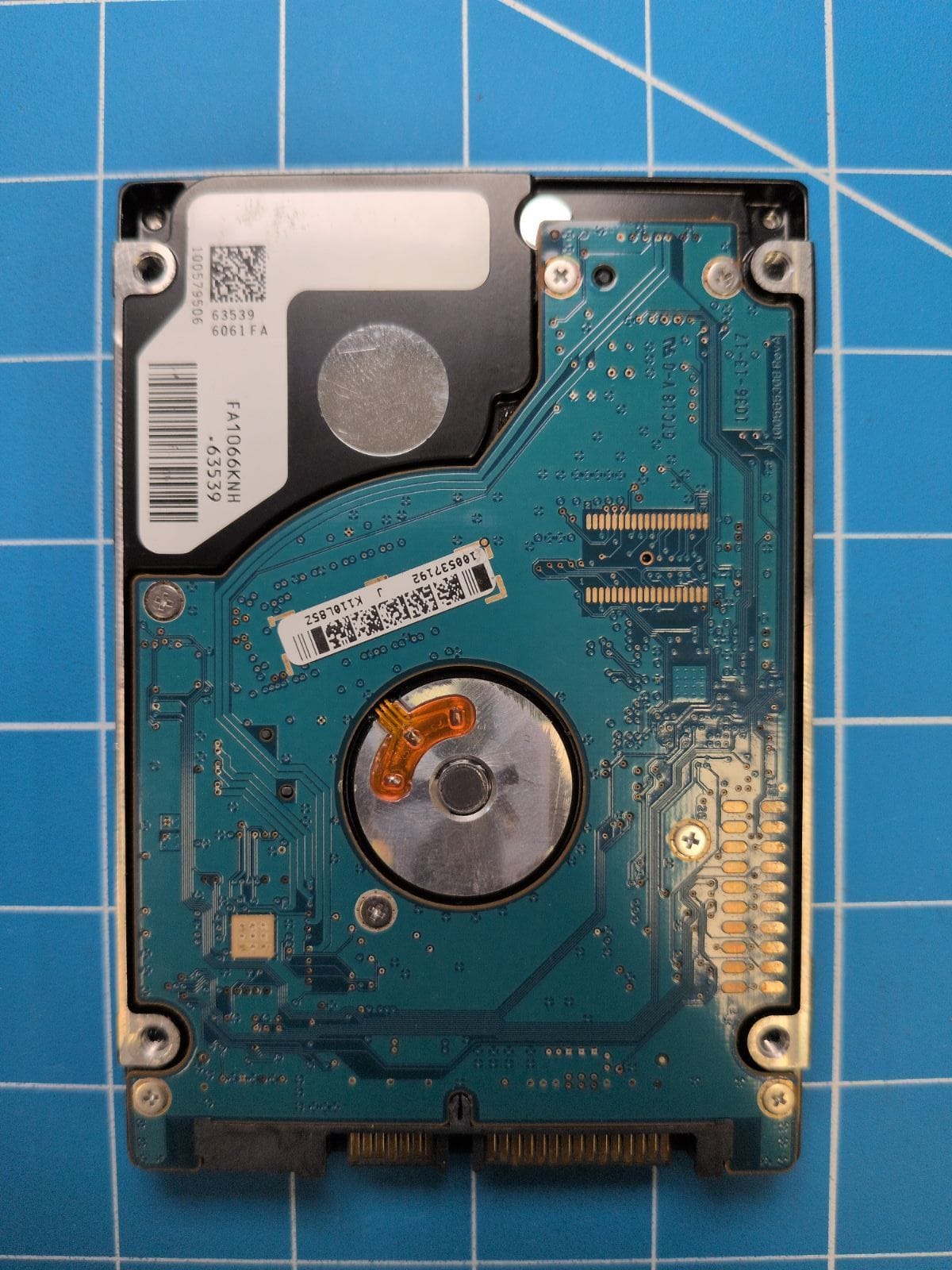 SG546 drive label (back)