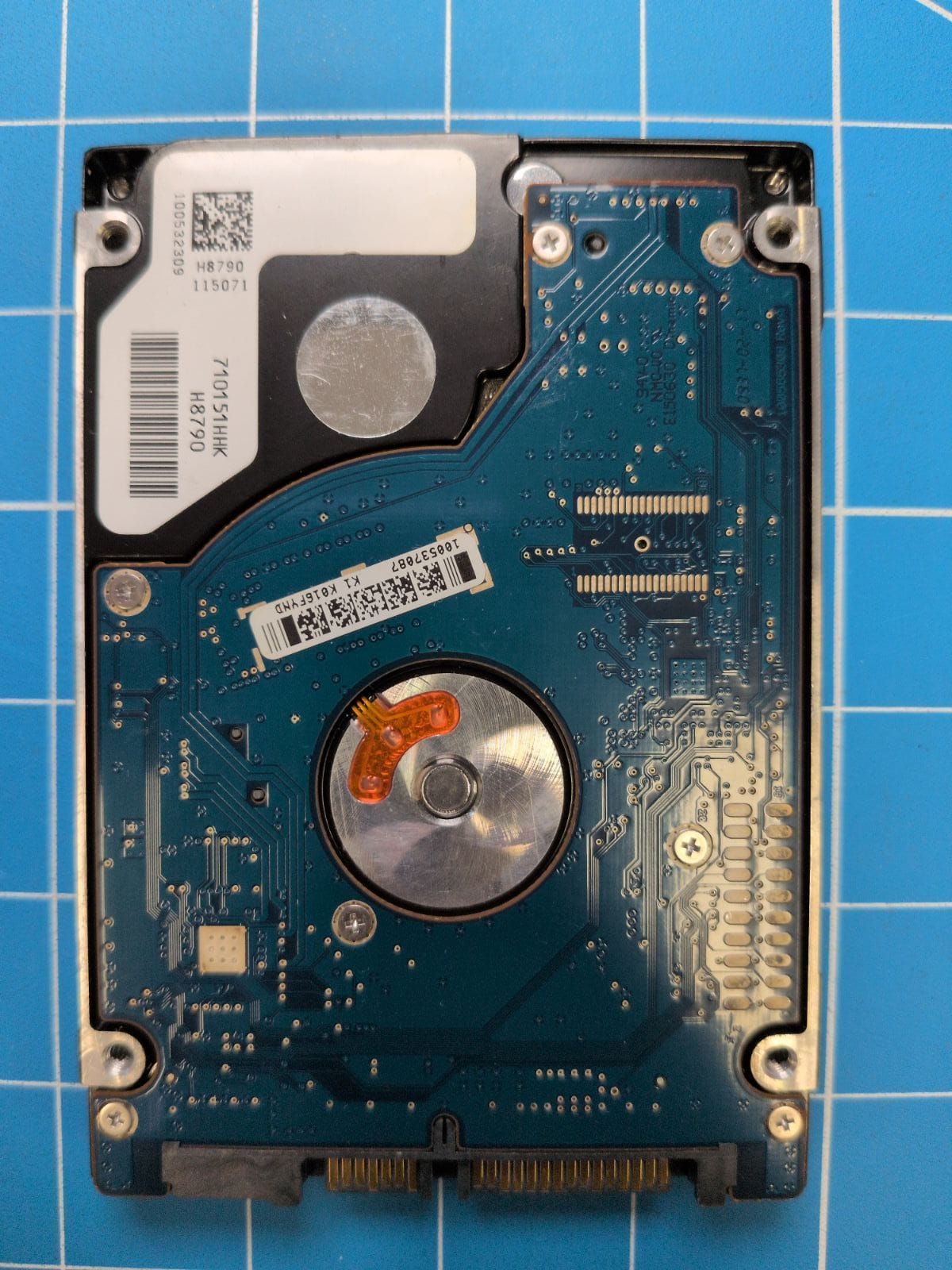 SG550 drive label (back)