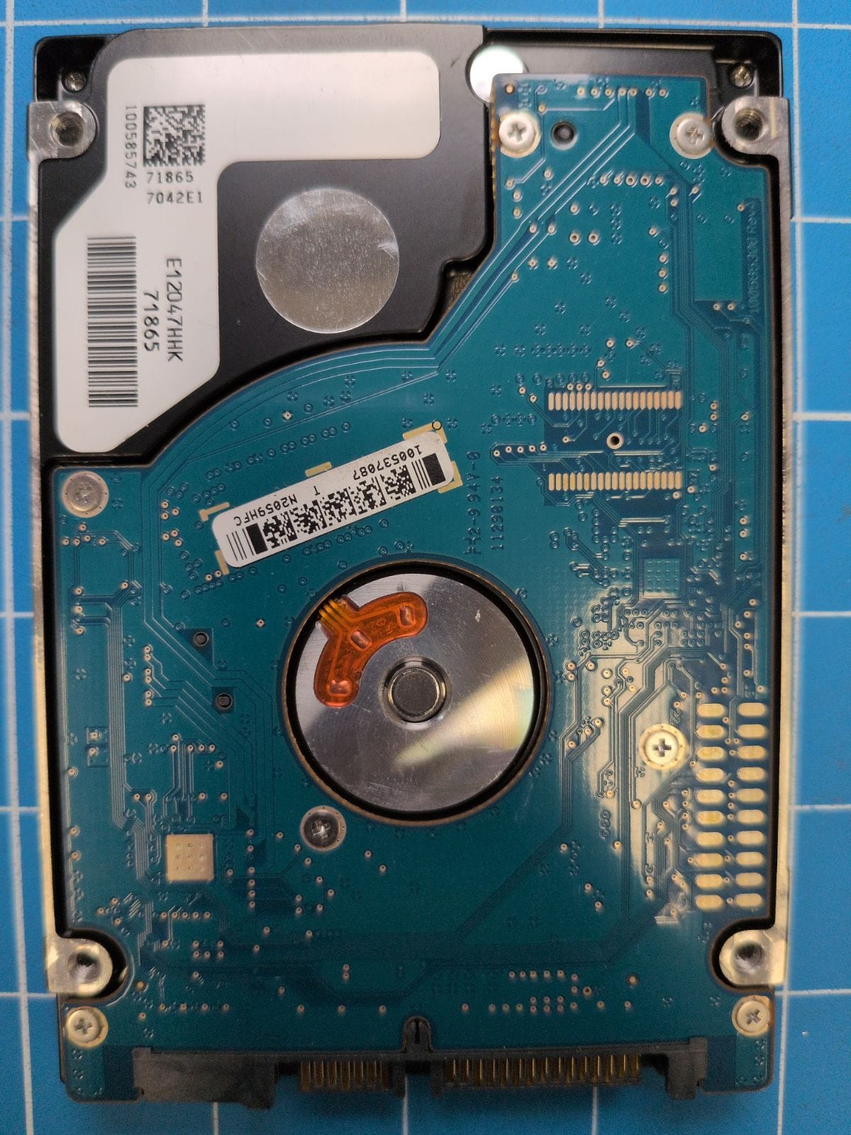 SG553 drive label (back)