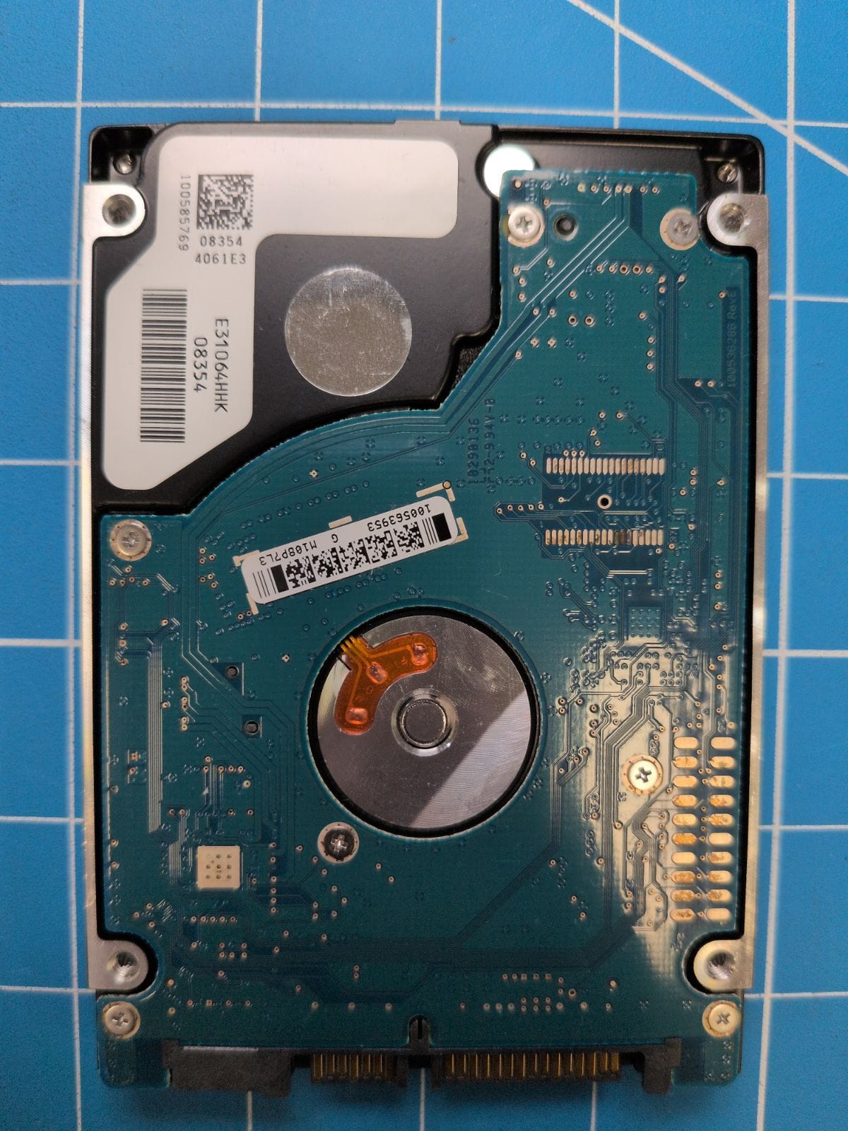 SG554 drive label (back)