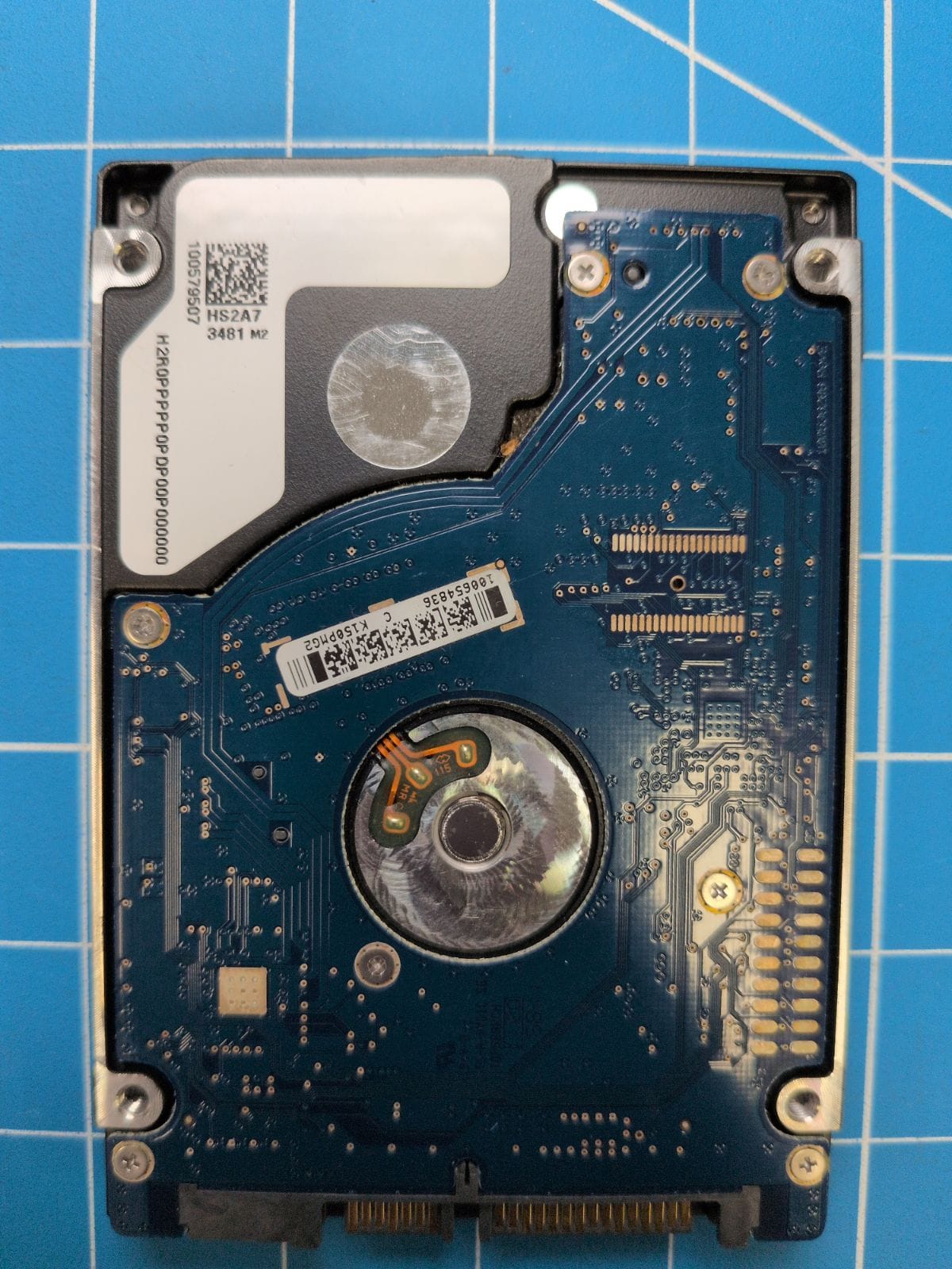 SG555 drive label (back)