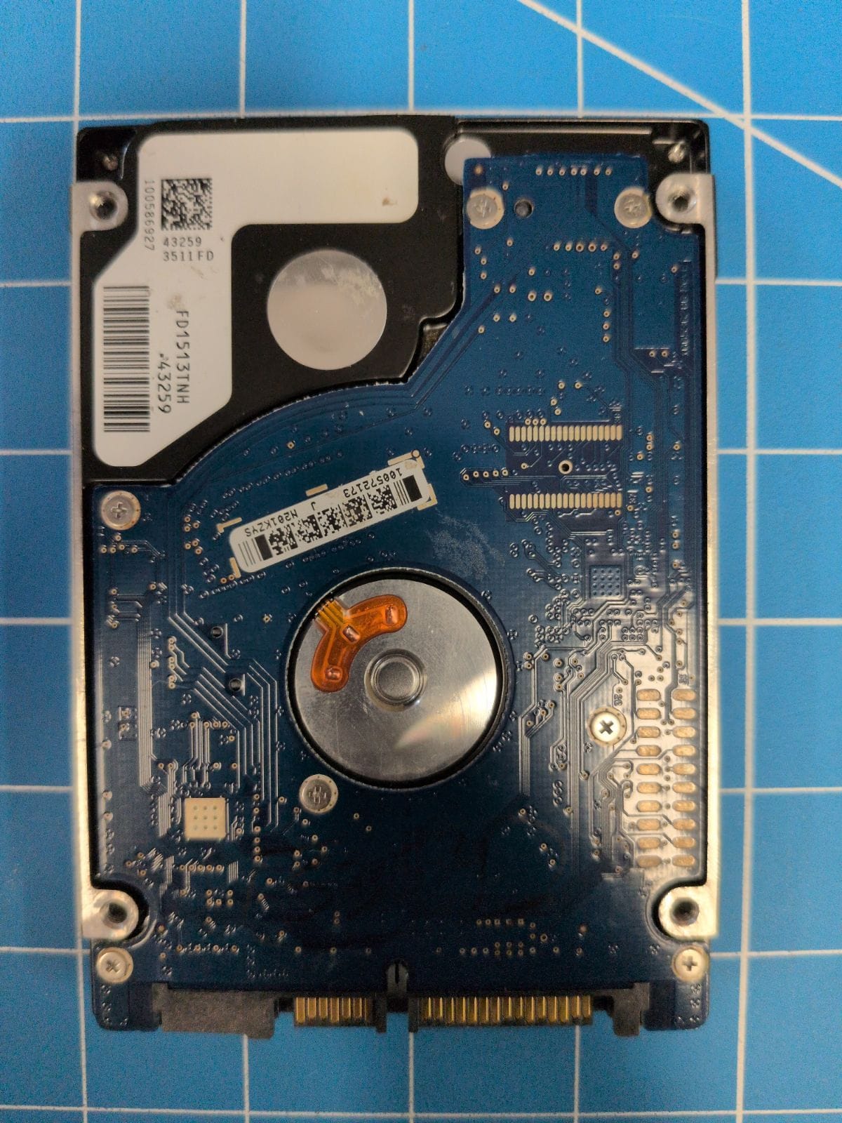SG556 drive label (back)