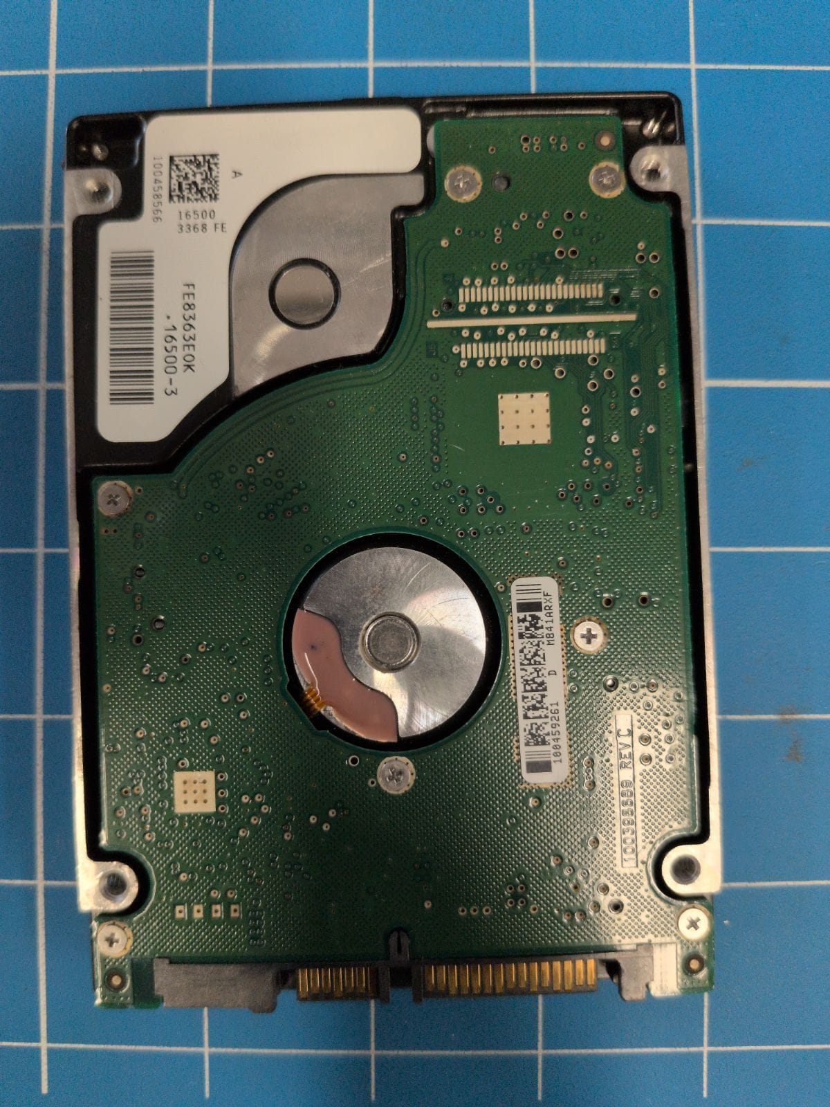 SG558 drive label (back)