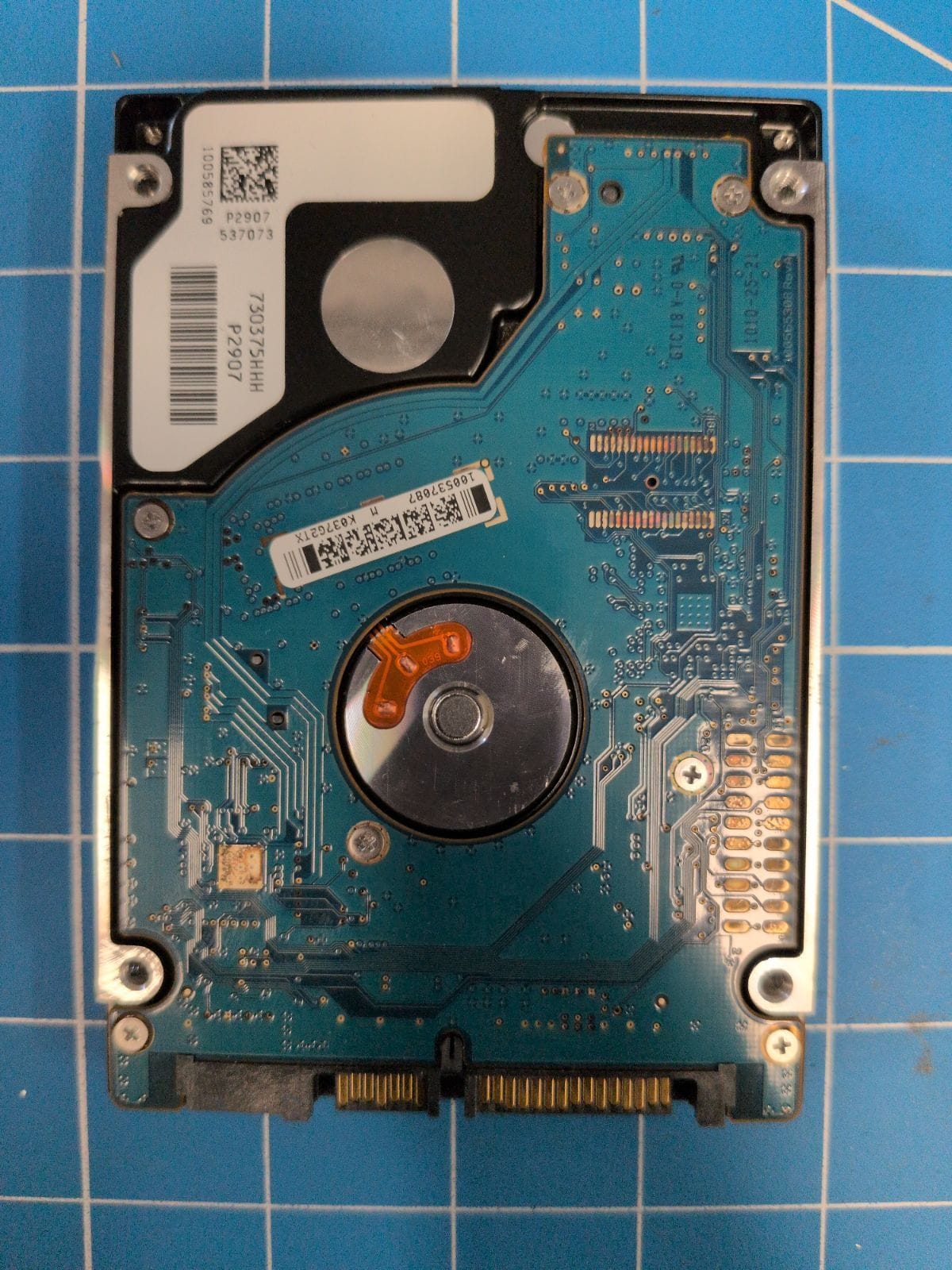 SG570 drive label (back)
