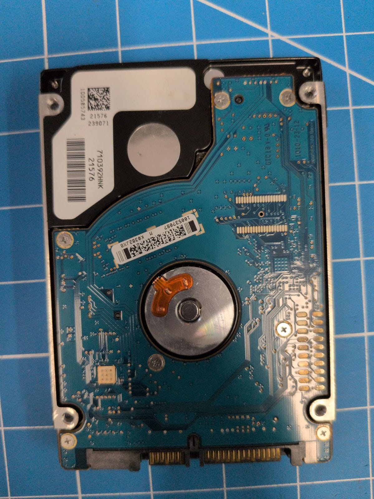 SG582 drive label (back)