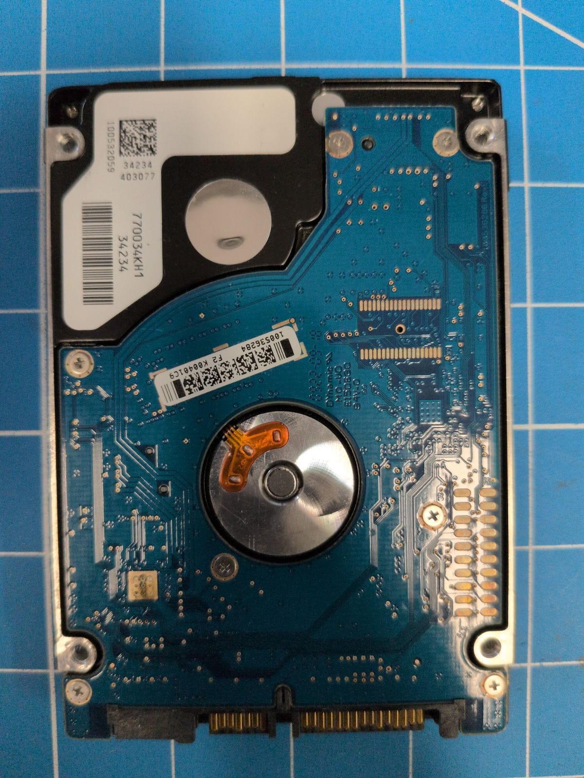 SG586 drive label (back)