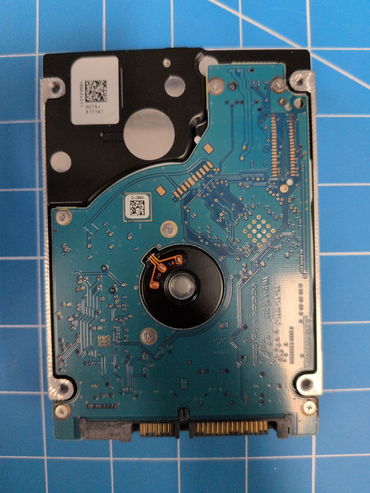 SG593 drive label (back)