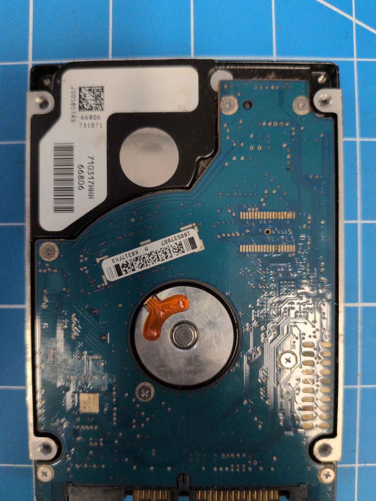 SG613 drive label (back)