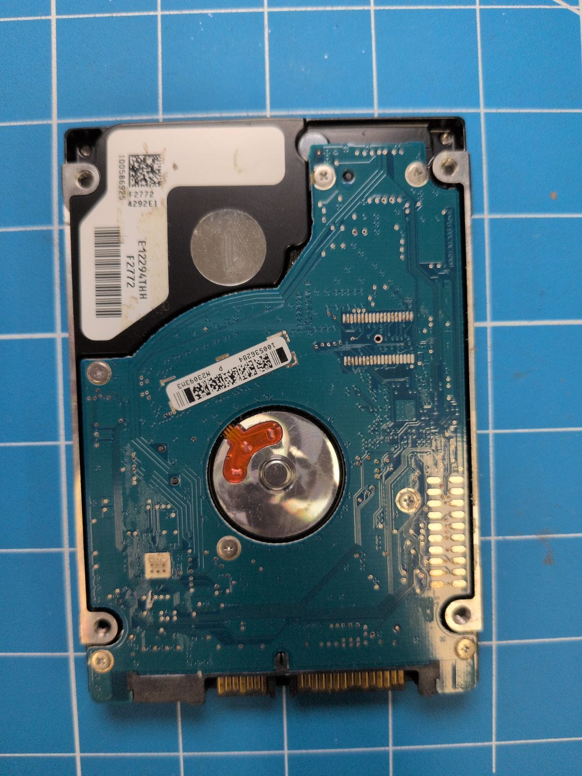 SG619 drive label (back)