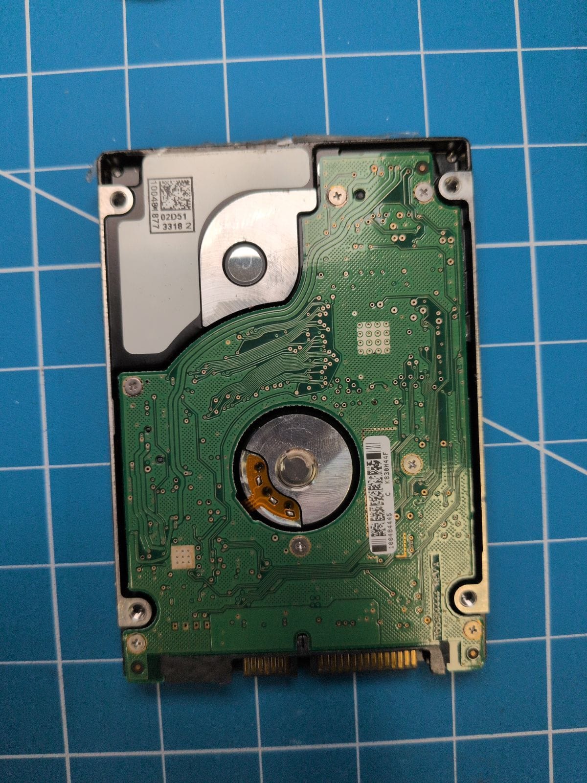 SG625 drive label (back)