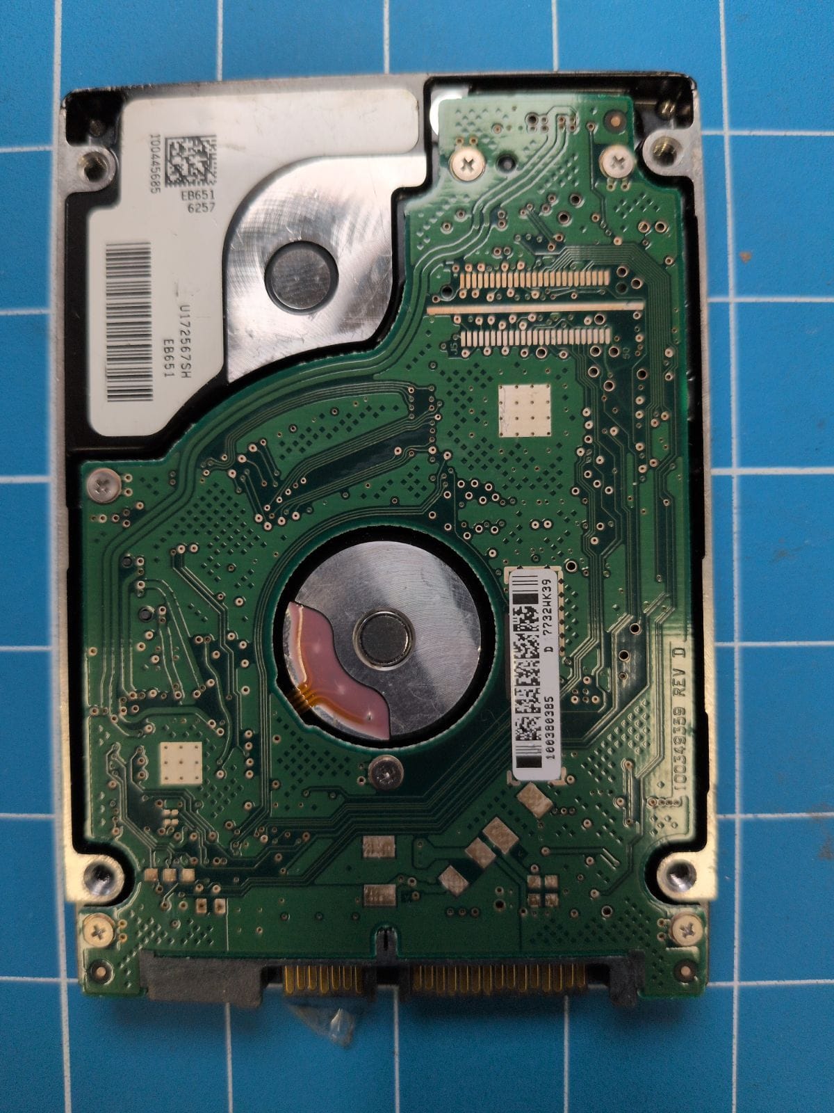 SG638 drive label (back)