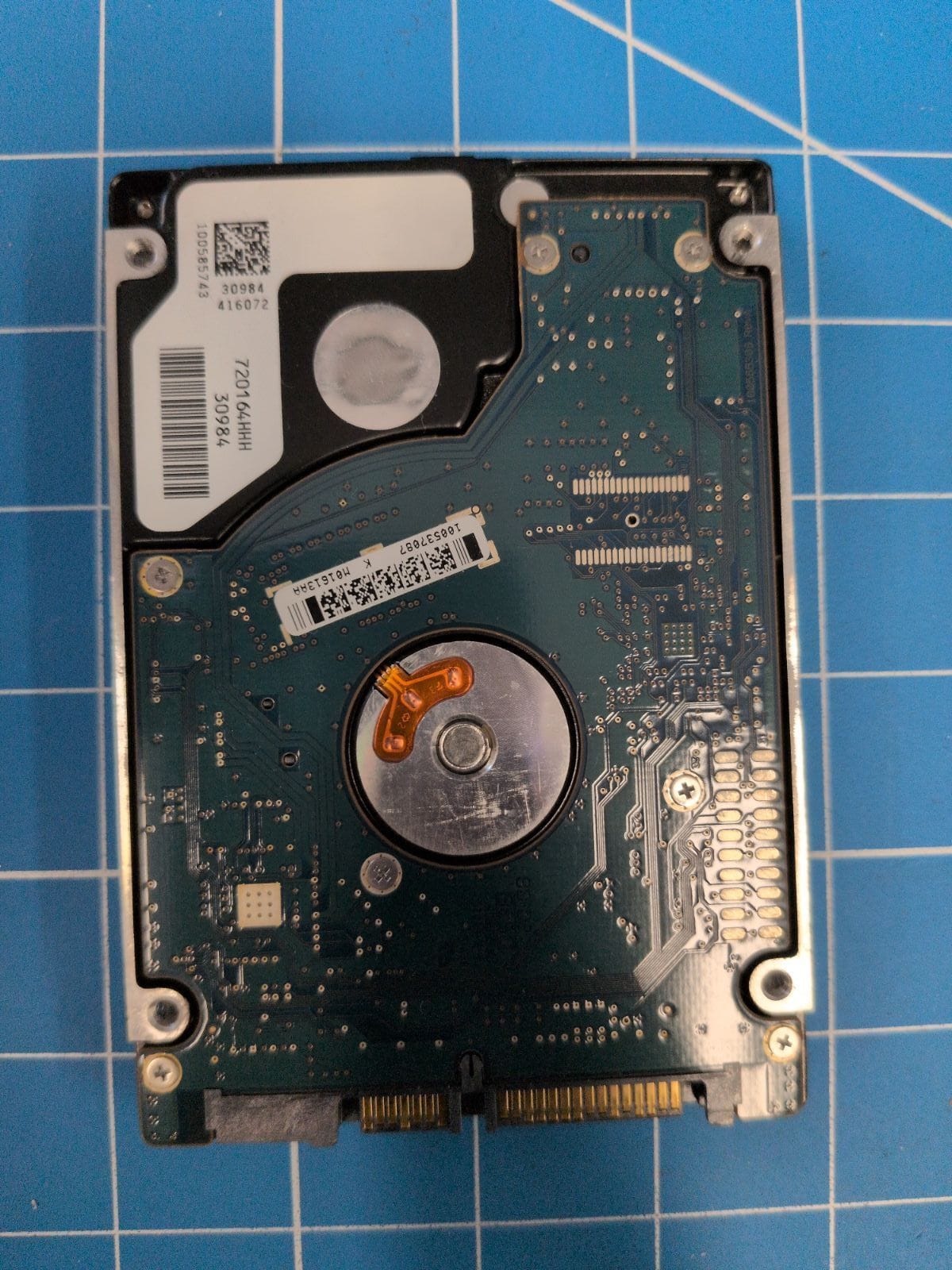 SG648 drive label (back)