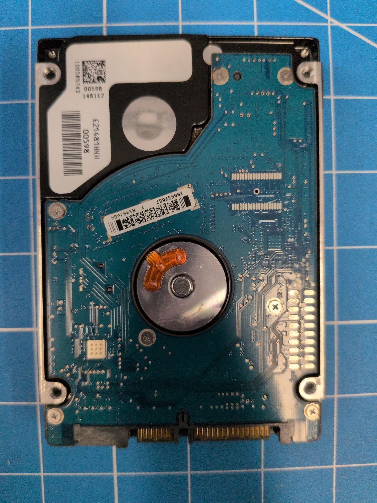 SG650 drive label (back)