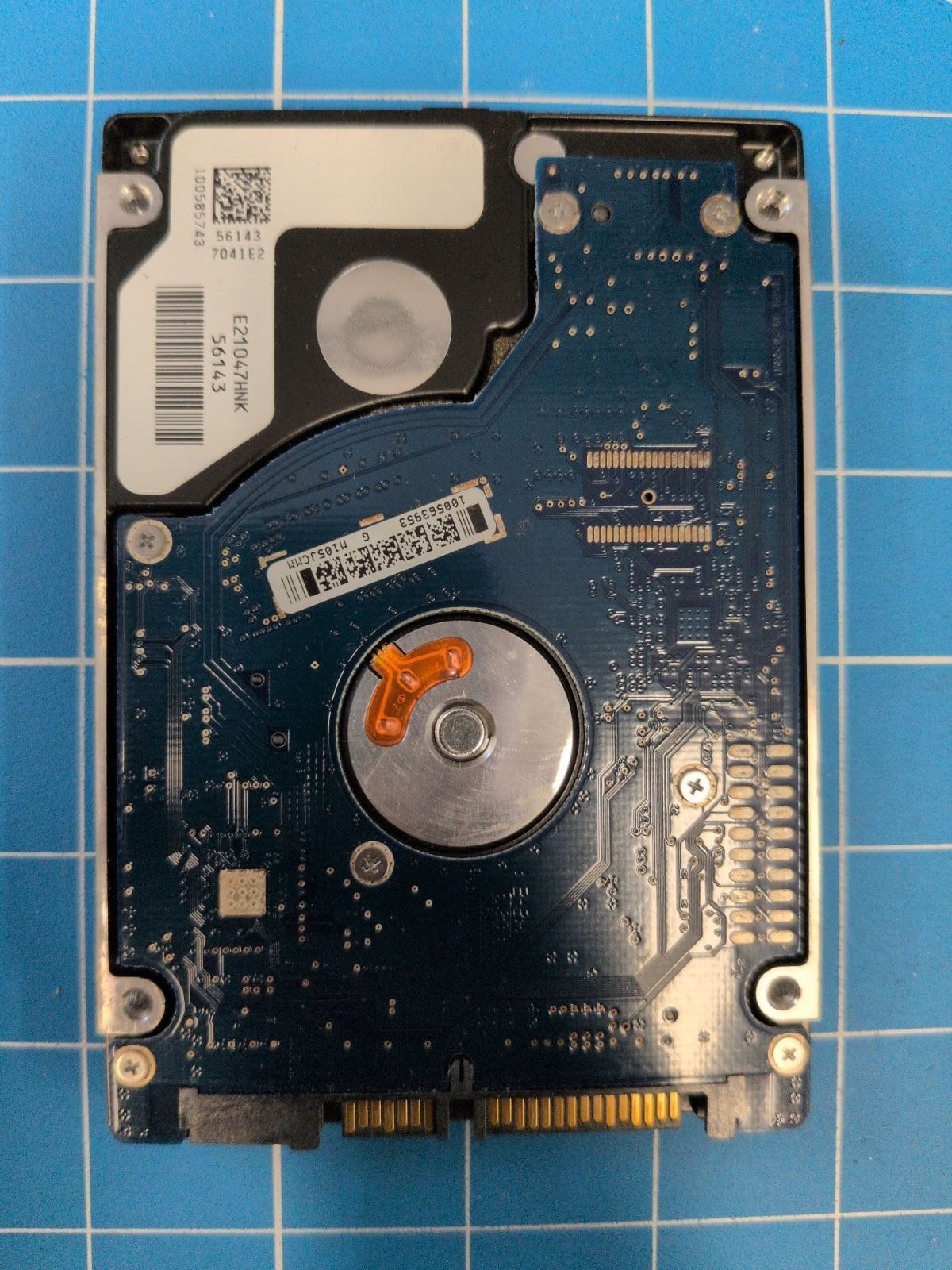 SG655 drive label (back)