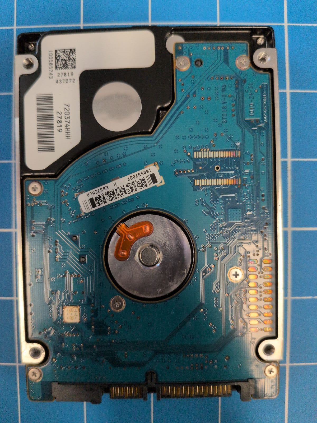 SG663 drive label (back)