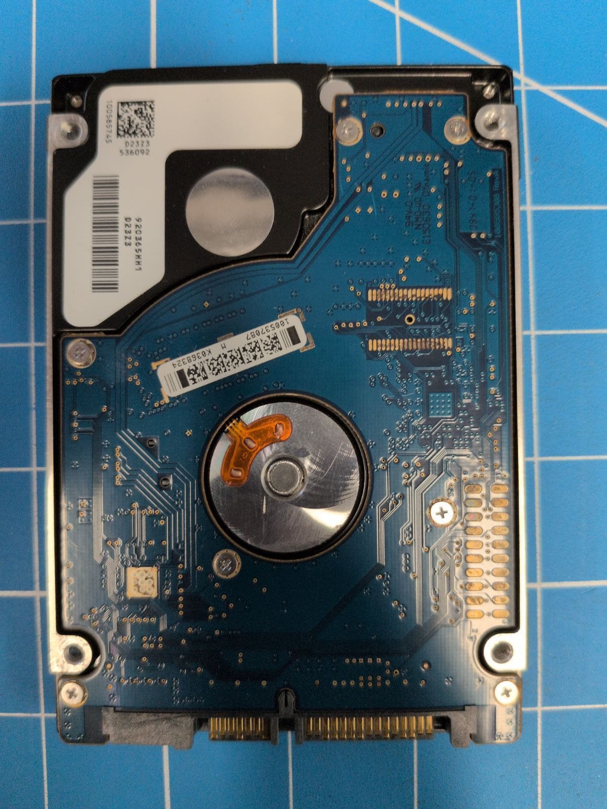SG665 drive label (back)