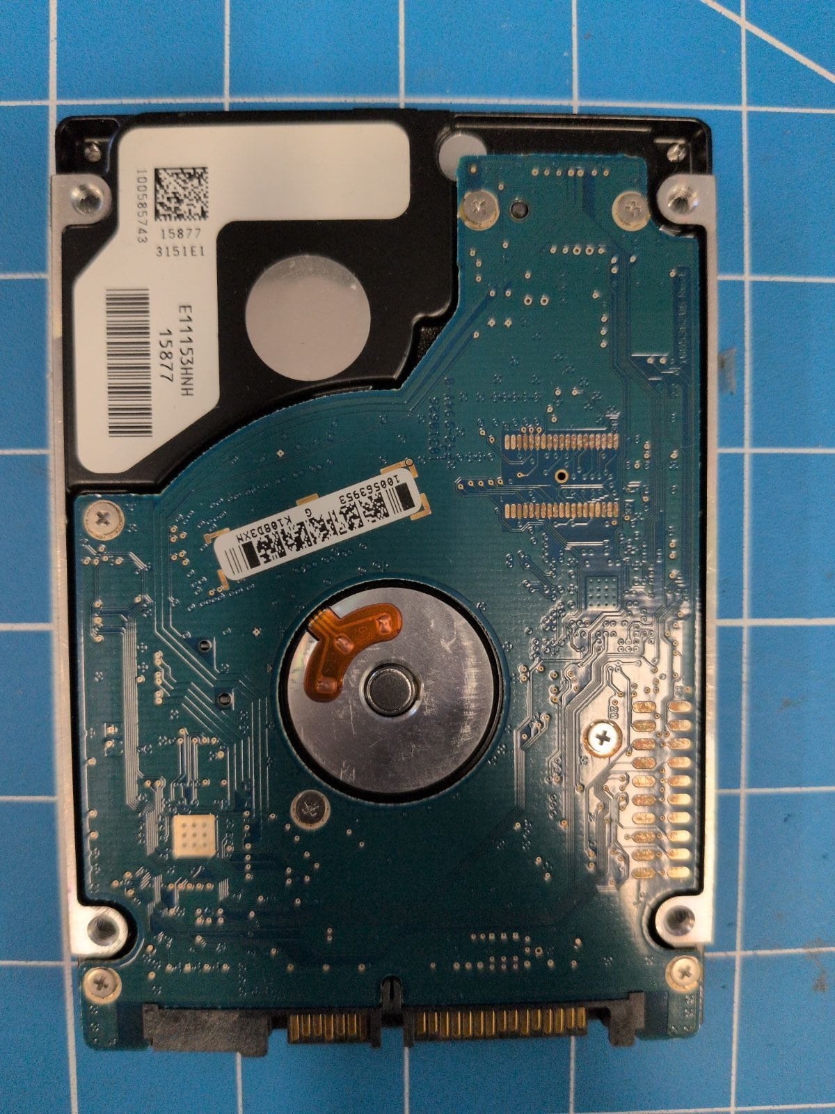 SG668 drive label (back)