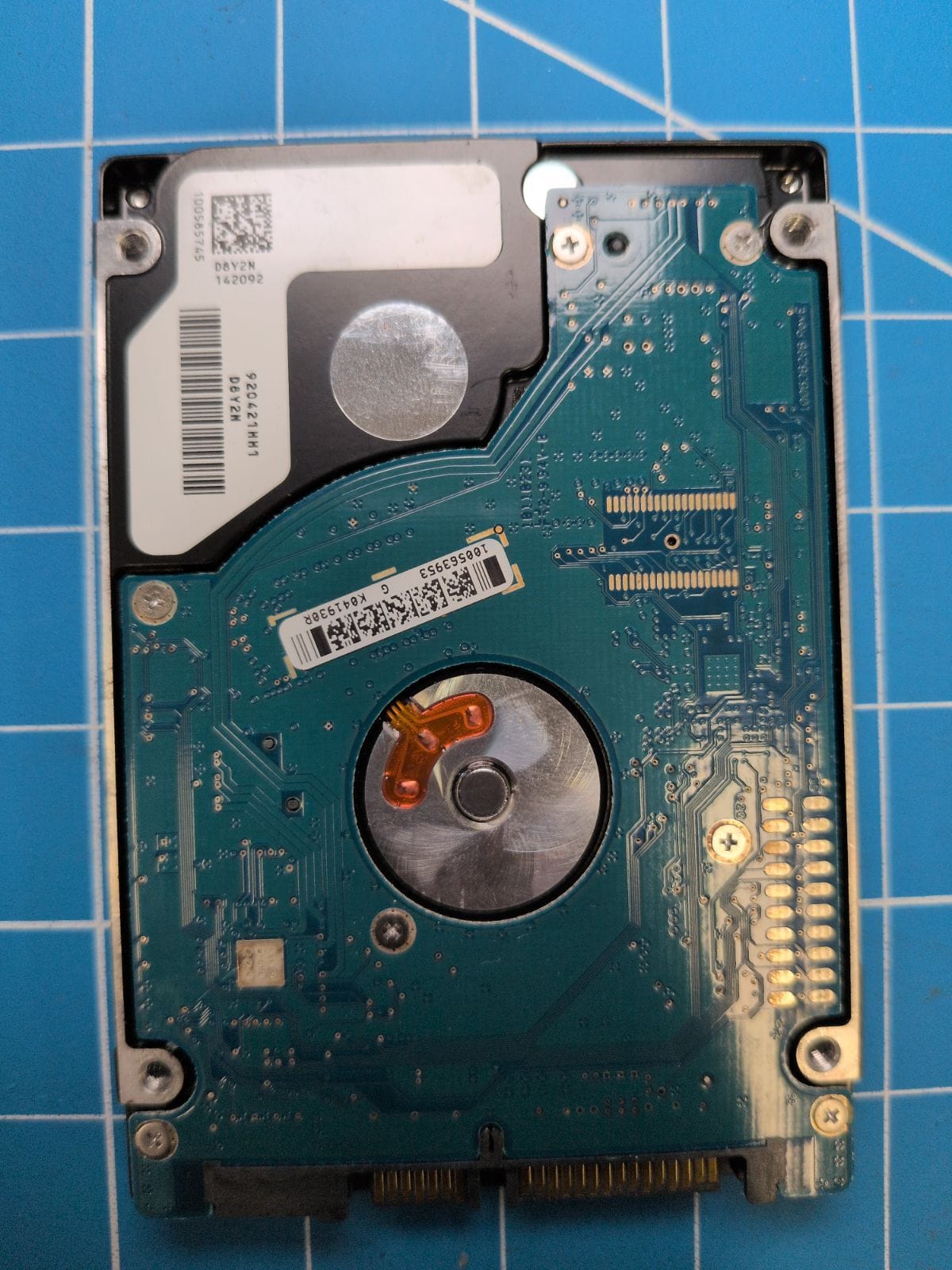 SG684 drive label (back)