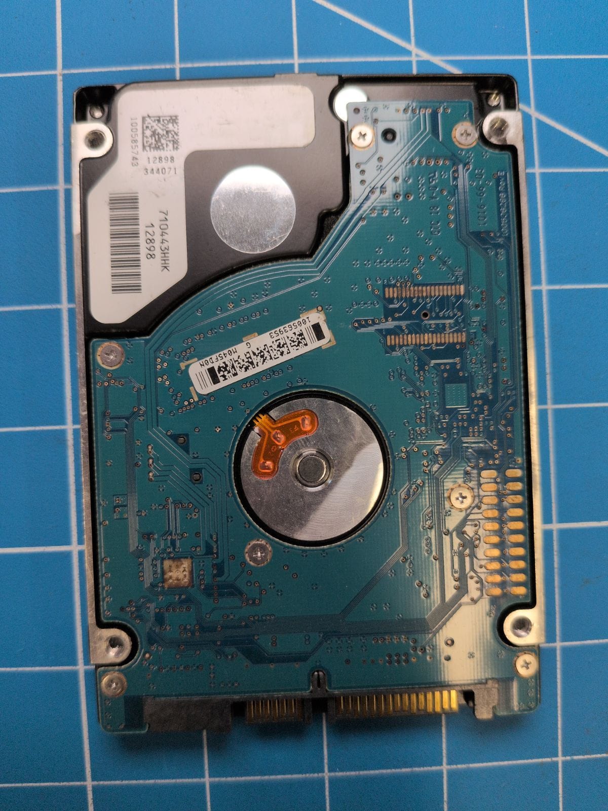 SG686 drive label (back)