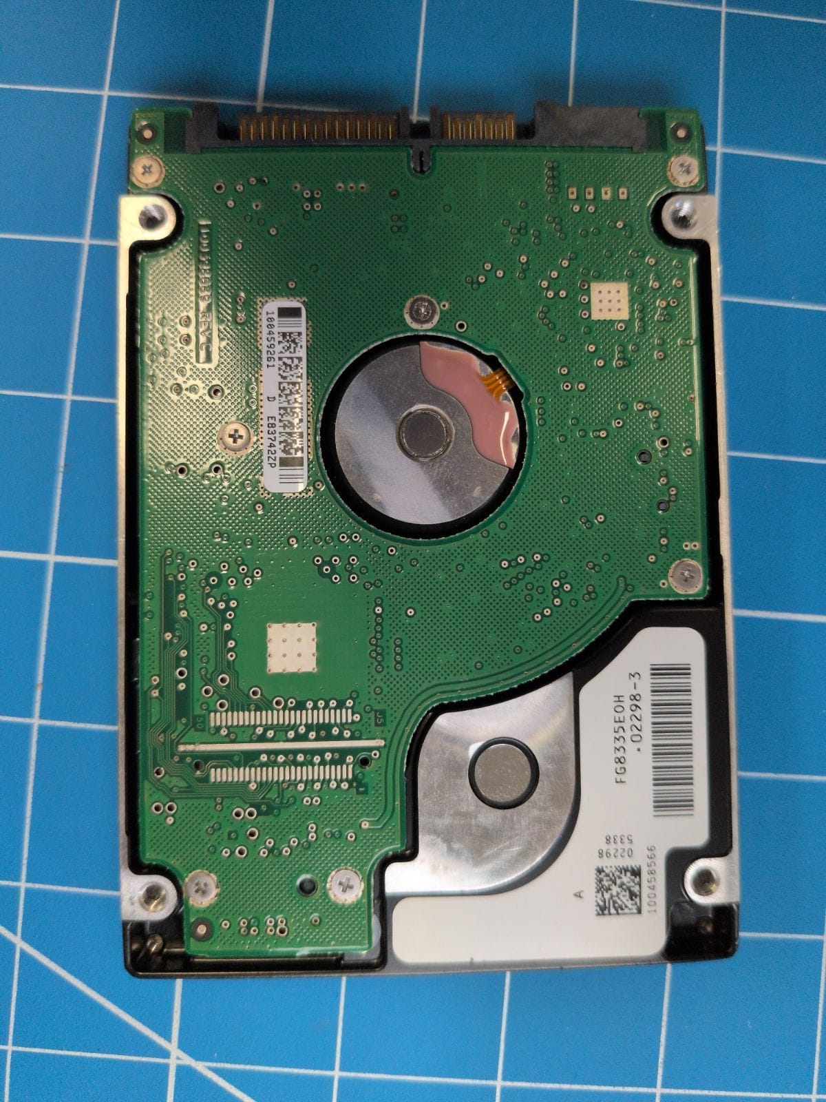 SG69 drive label (back)