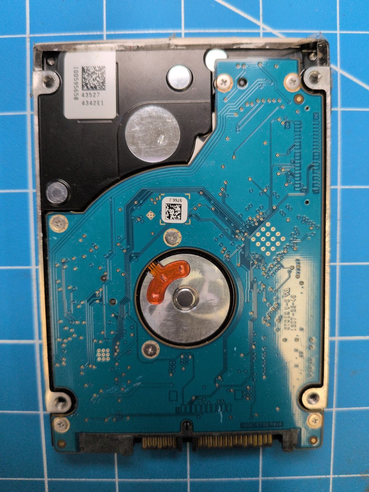 SG696 drive label (back)